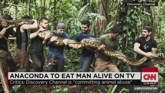 Anaconda eats man alive on Discovery Channel?