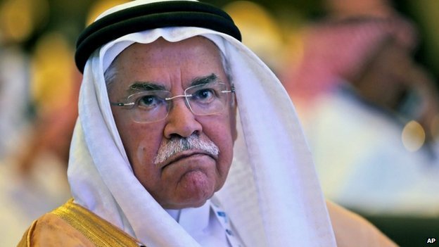 Oil price fall not Opec's fault, Gulf ministers say