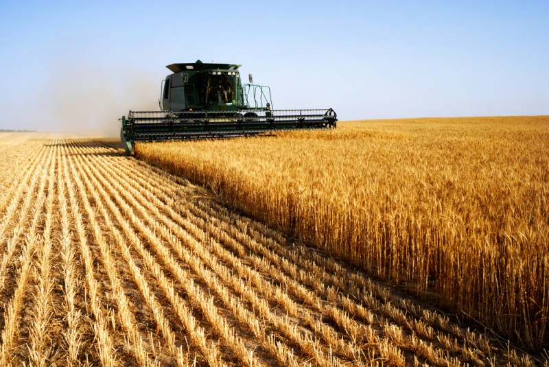 Azerbaijan produces 2.4m tons of grain through November