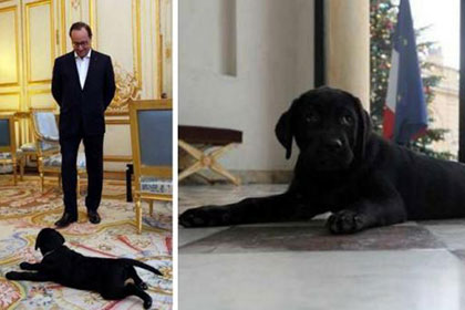 Президенту подарили щенка