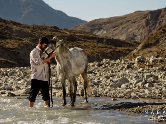 Motamed-Arya shines in ‘Nabat’ out of Azerbaijan