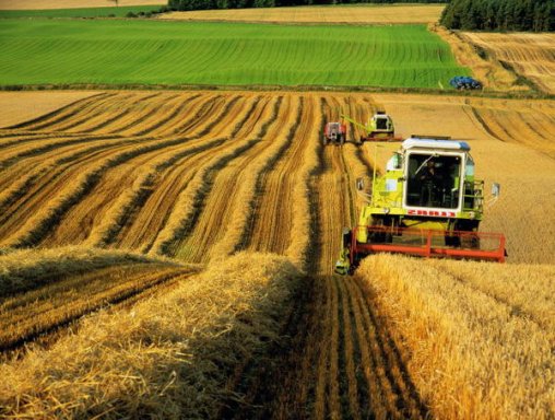 2015 declared Year of Agriculture in Azerbaijan