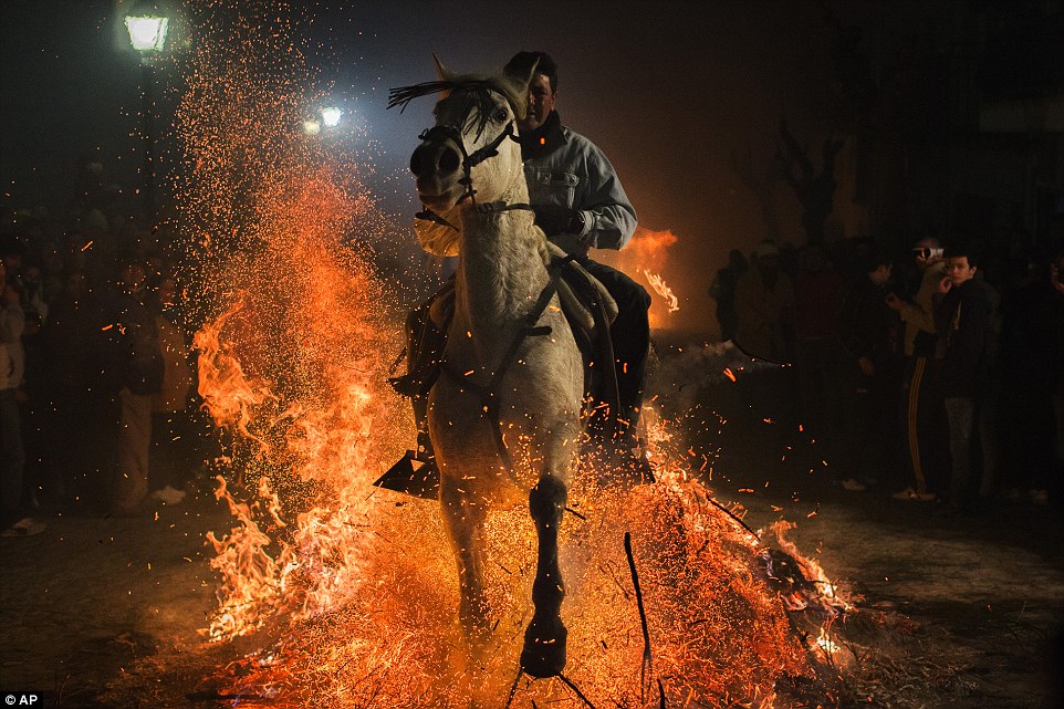 Horses ride through bonfires to celebrate patron saint of animals