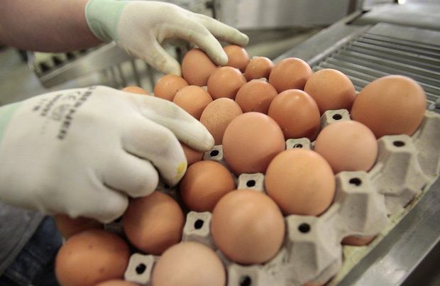 Россия не пустила в Азербайджан украинские яйца