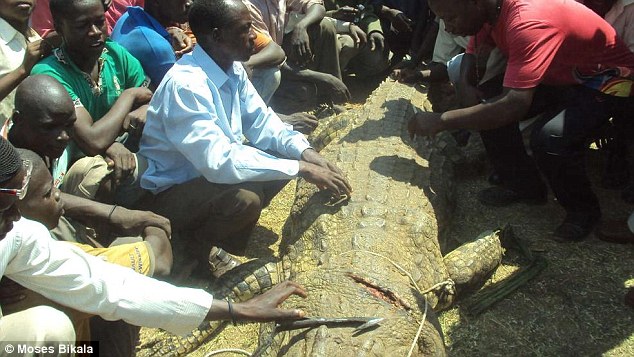 Husband whose pregnant wife was eaten by a crocodile revenges