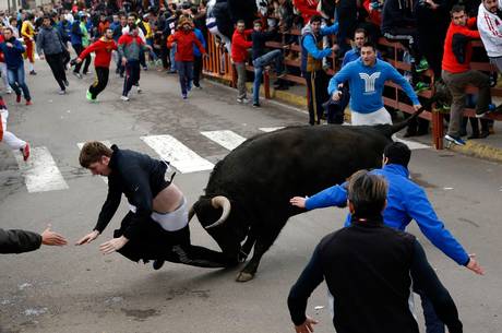 Student in intensive care after being gored by bull during Spanish festival