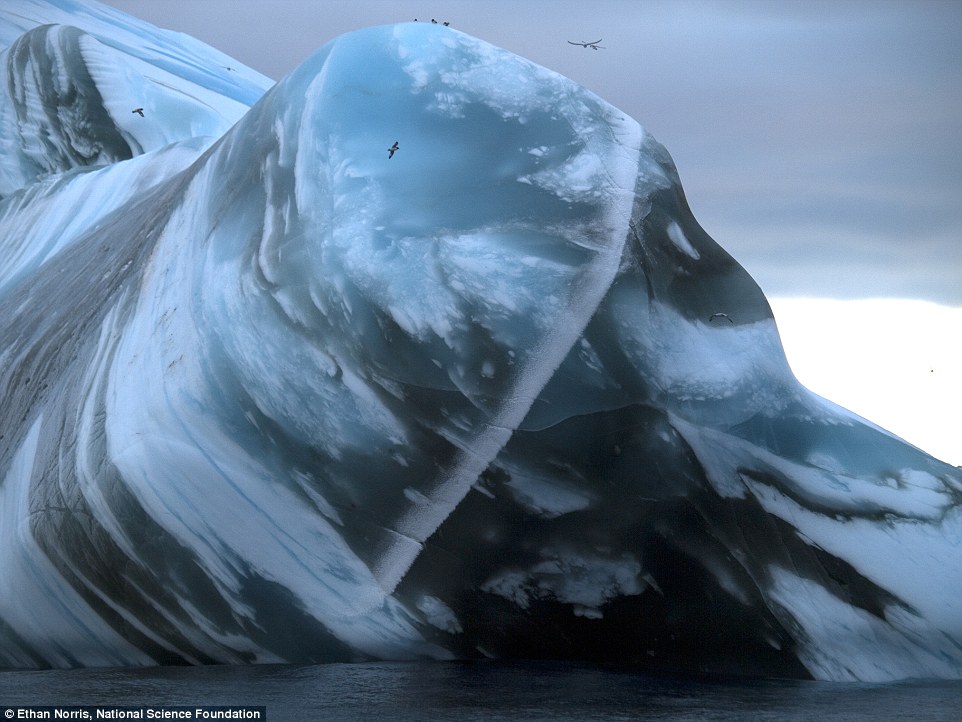 The underworld of the Antarctic