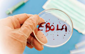 Azerbaijan to allocate $1m to fight Ebola