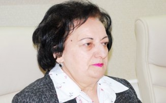 Millət vəkillərindən Elmira Süleymanovaya etiraz