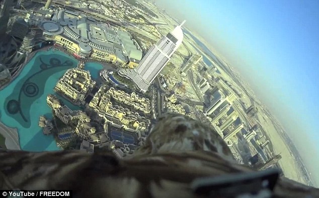 Talk about a bird’s eye view