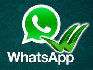 “WhatsApp” 1 milyarddan çox yüklənib