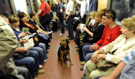 Taking a ride on the world's most envied metro system