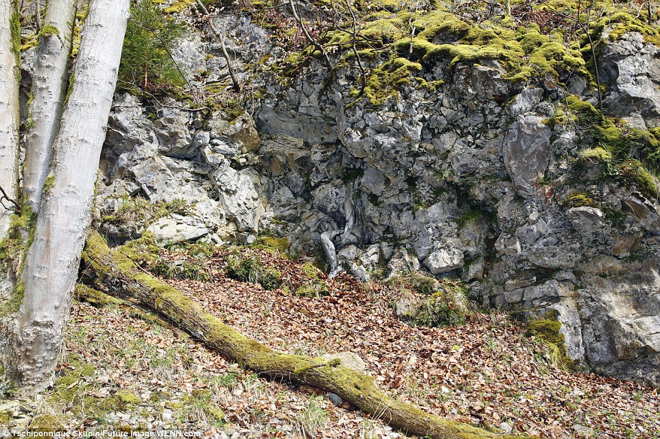 Can YOU spot the naked model camouflaged by trees and rocks