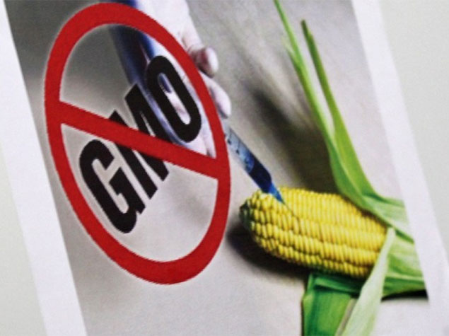 Азербайджан запретил импорт ГМО растений