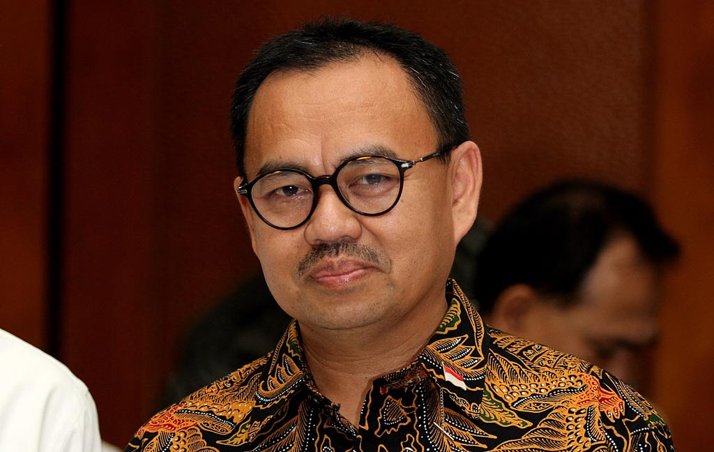 Indonesian energy minister holds meetings in Baku