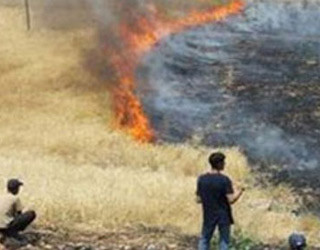 Azərbaycanda iki min hektar otlaq sahəsi yandı