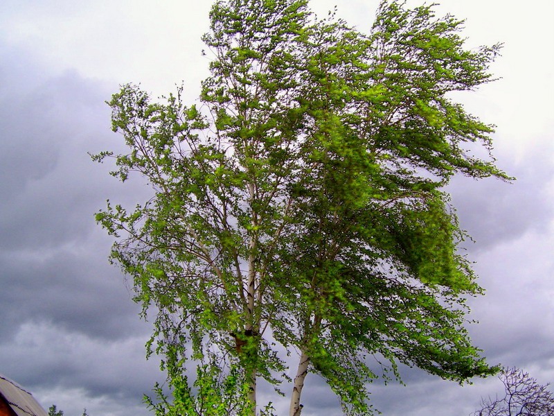 Baku weather forecast for July 7