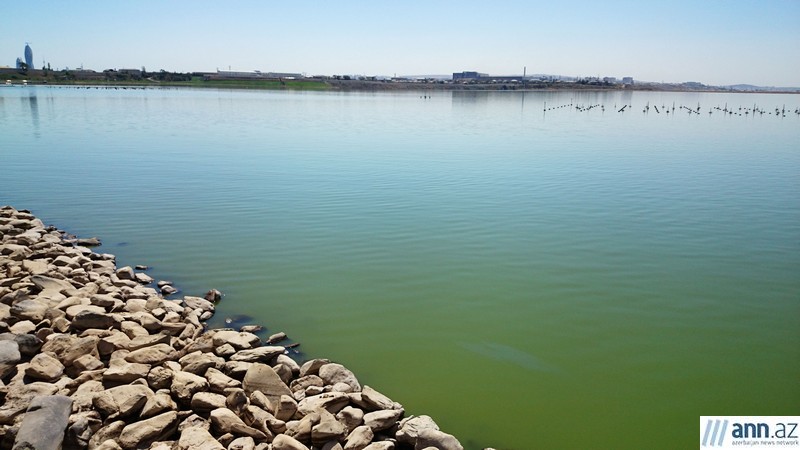 Abşeronun ən böyük gölünün ətrafı bu cür abadlaşır - FOTOLAR