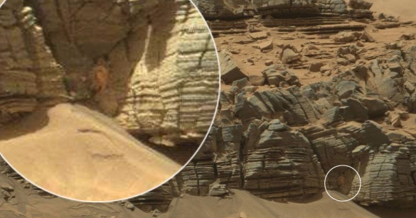 На Марсе обнаружили крабоподобного 