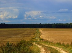 Сын Порошенко предложил продать украинскую землю, но не 