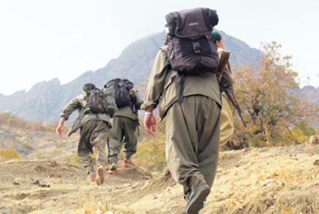 PKK terrorçuları qatıq oğurluğuna başladı