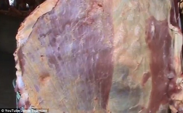 Video shows giant slab of meat PULSATE