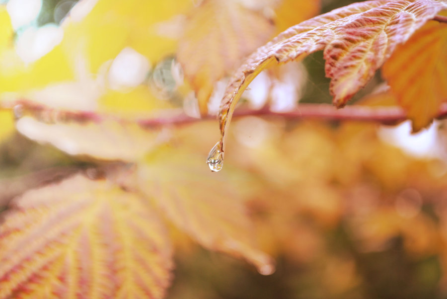 Baku weather forecast for Sep. 1