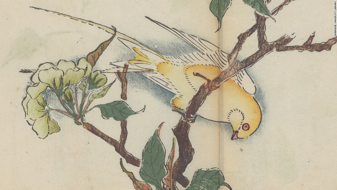 Inside the world's oldest multicolor printed book