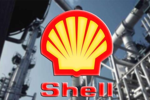 Shell проведет разведку