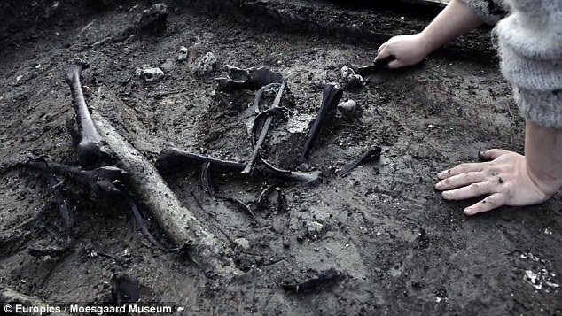 Danish Iron Age remains reveal macabre practices