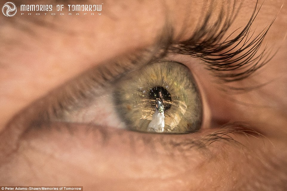 Moments reflected in the guests' eyes