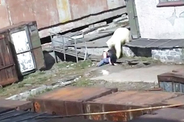 Terrifying moment stunned woman is mauled by polar bear