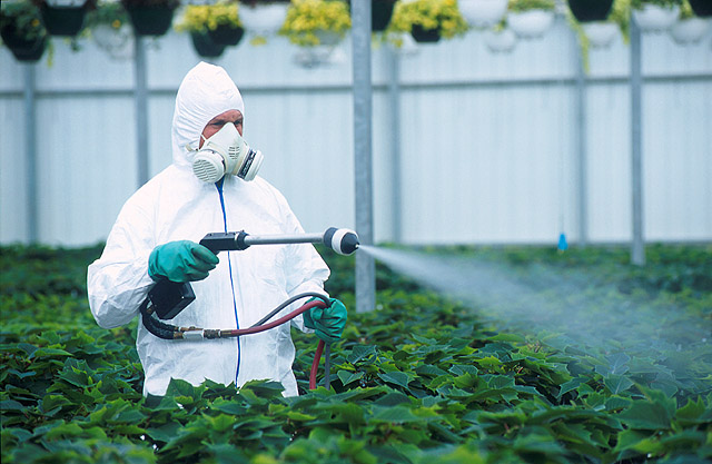 Выявлены поддельные пестициды