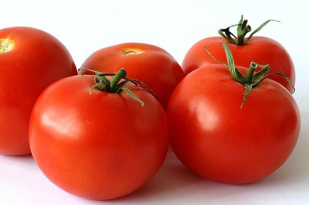 Россия забраковала наши томаты
