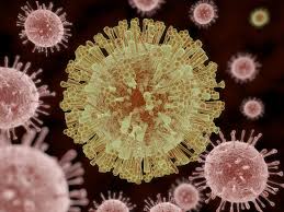 Ученые связали вирус и синдром