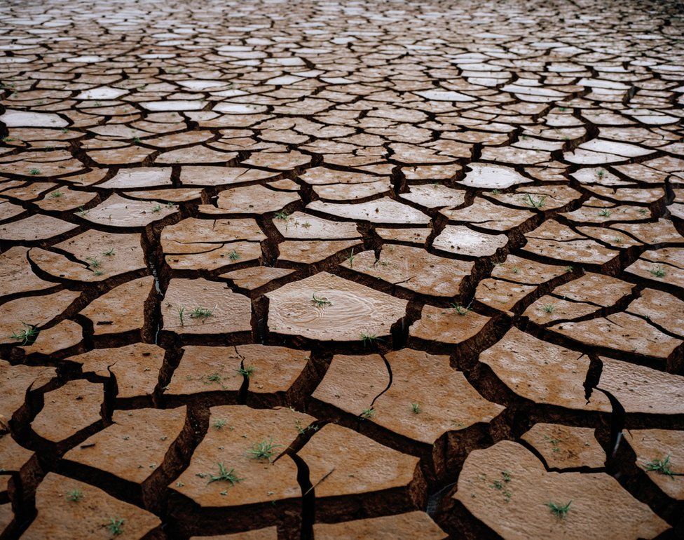The global water crisis in pictures