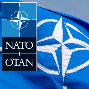 НАТО призывает стороны прекратить стрельбу