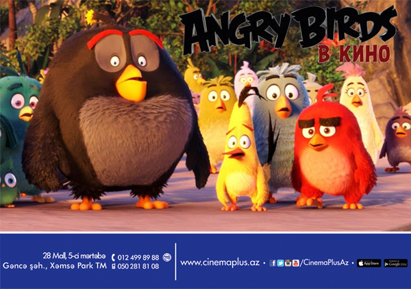 «Angry Birds в кино» на экранах CinemaPlus