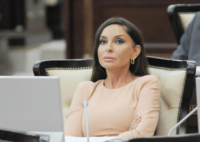Мехрибан Алиева обратилась в парламент