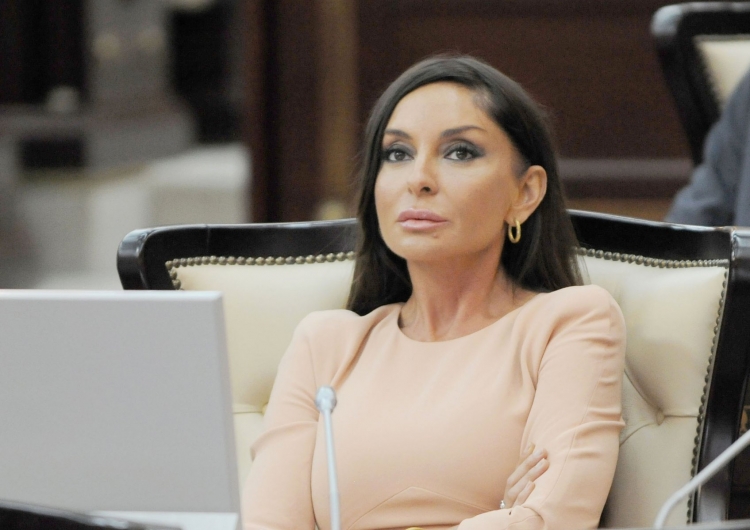 Мехрибан Алиева выступила в парламенте