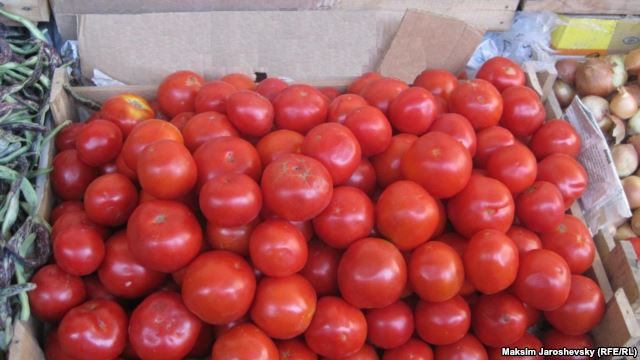 İstifadəyə yararsız 500 kq pomidor məhv edildi