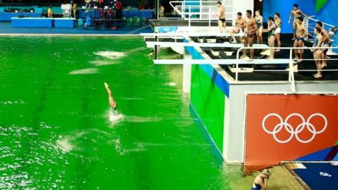 Olympic pool turns green