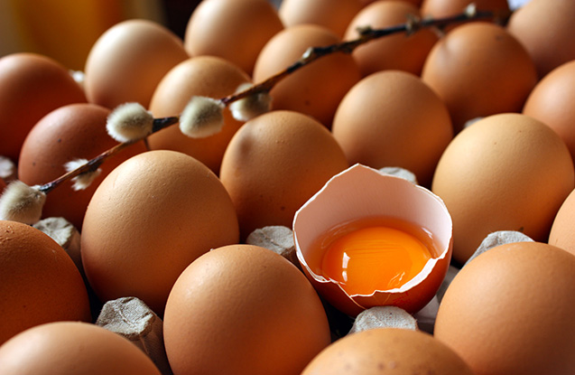 Hər gün yumurta yeyin - Xərçəng riskini azaldır - VİDEO
