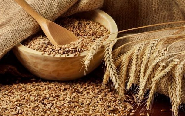 Азербайджан закупит пшеницу у Казахстана