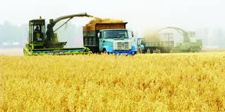 Azerbaijani agriculture supplies to Russia in Jan-Aug up by 25%
