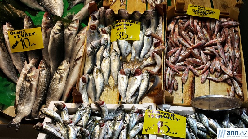 Рыбный рынок: морское изобилие на пристани Каракей - ФОТО
