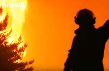 Чили охватили лесные пожары - ВИДЕО