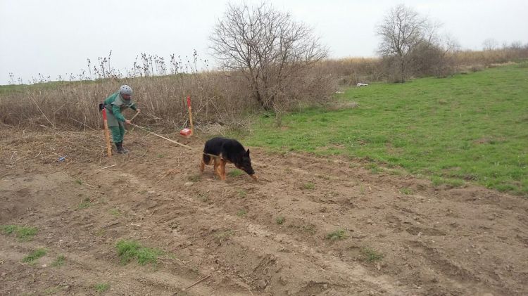 Cocuq Mərcanlıda  mina aşkar edilib