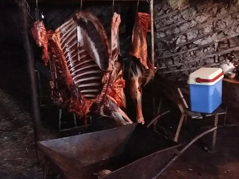 At-eşşək ətləri şadlıq evləri və restoranlara da verilir - ŞOK AÇIQLAMA