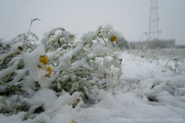 Azərbaycana yarım metrə yaxın qar yağdı